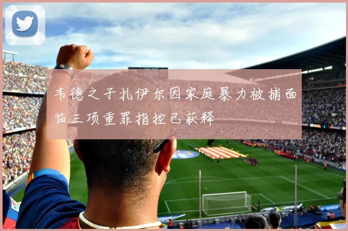 韦德之子扎伊尔因家庭暴力被捕面临三项重罪指控已获释